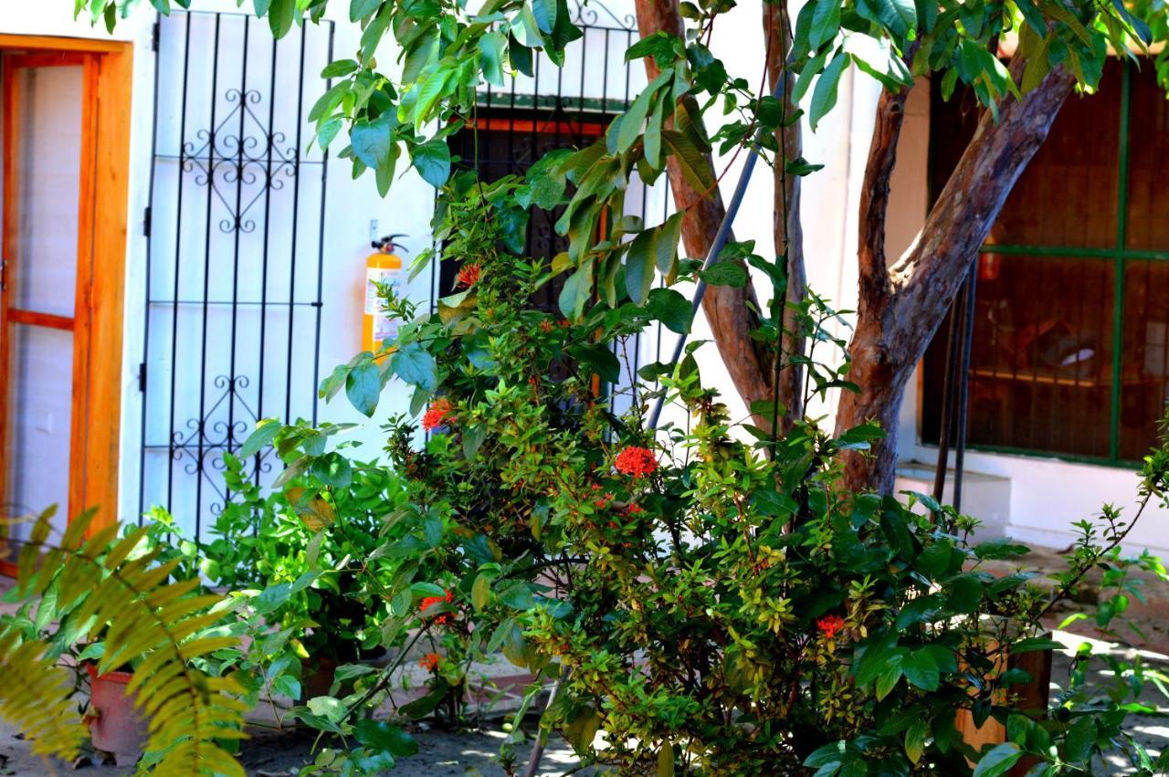 Casa Serrano - Callejon De Don Blas 4 Hab Canaguate Mompos Kültér fotó